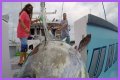 Who has the most expensive boat on Wicked Tuna?