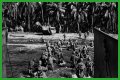 WWII's Most Daring Raids - Smithsonian Channel