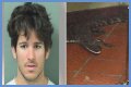 Florida Man Throws Crocodile In Drive Thru